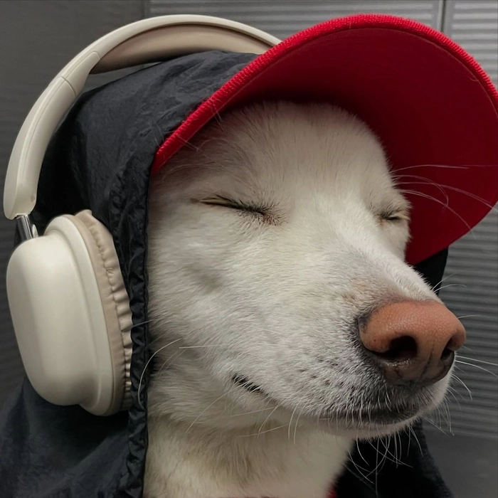 funny meme pfp for discord