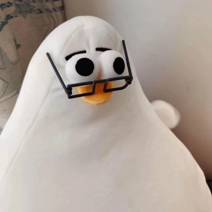 funny pfp aesthetic