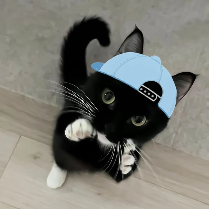 funny pfp for discord