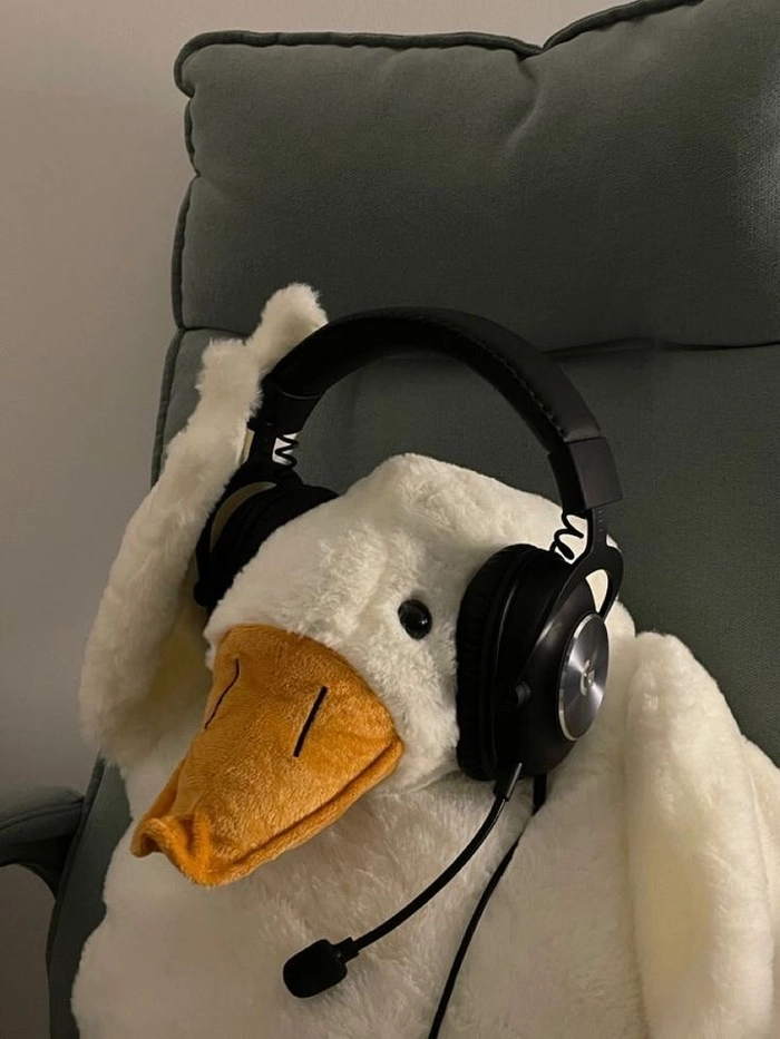 funny pfp for instagram