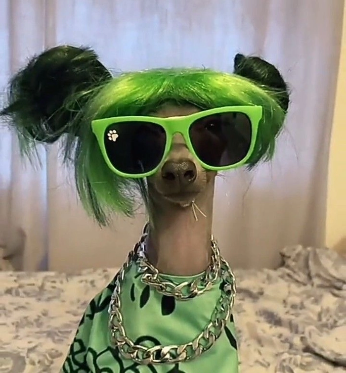 funny pfp ideas for instagram