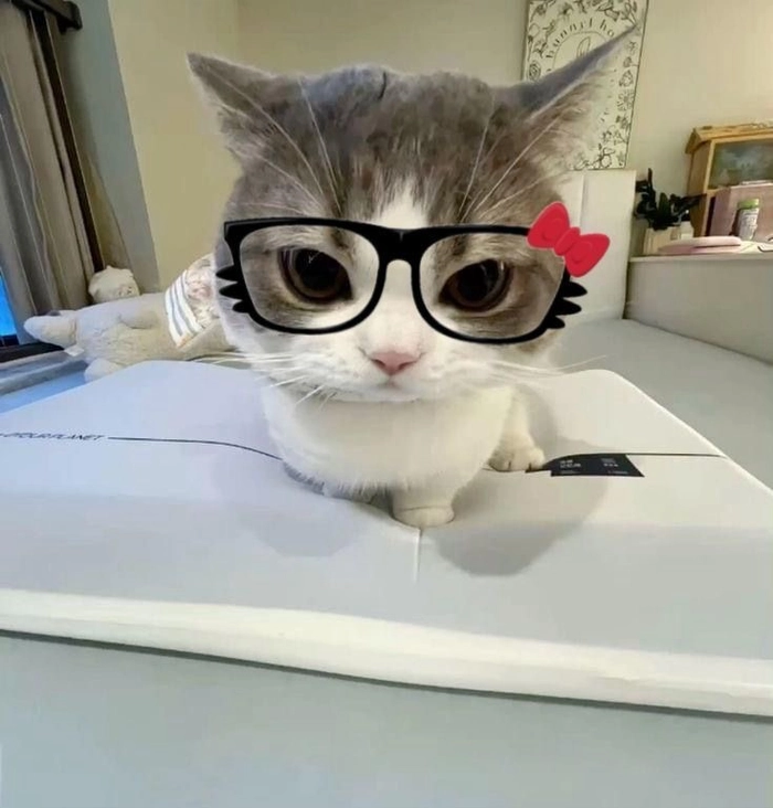 funny pfp instagram
