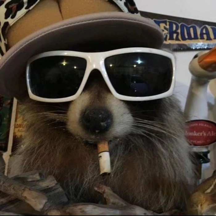 funny pfp