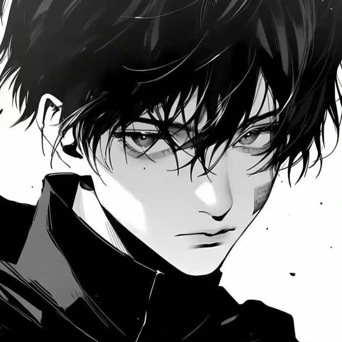 gentle anime black and white pfp aesthetic