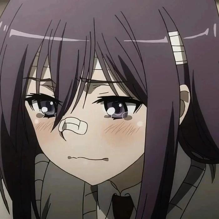 gentle sadness appears clearly in sad anime pfp