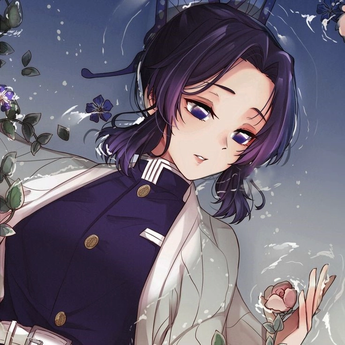 giyuu x shinobu matching pfp shinobu