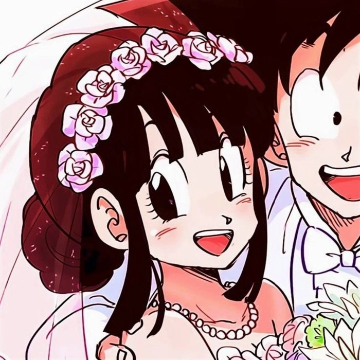 goku and chi chi matching pfp chi chi