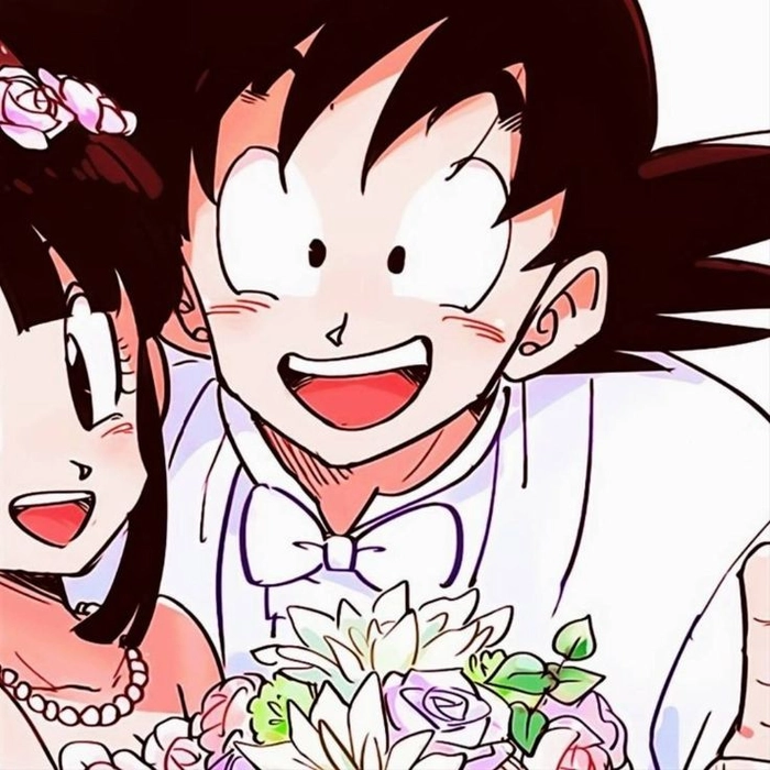 goku and chi chi matching pfp goku