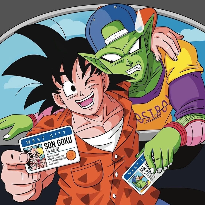 goku and piccolo pfp