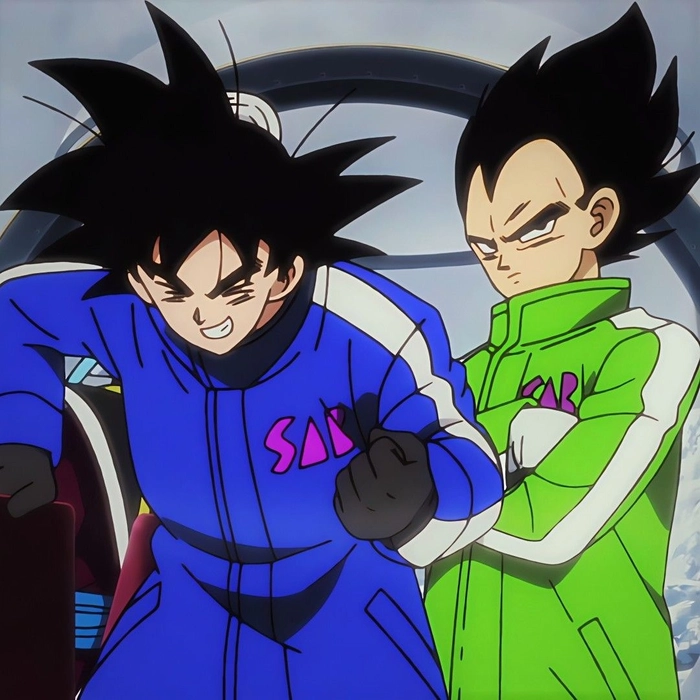 goku and vegeta duo pfp