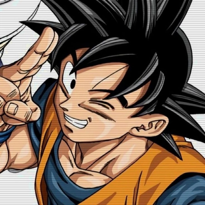 goku and vegeta pfp matching goku