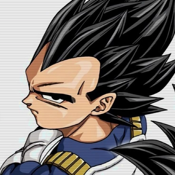 goku and vegeta pfp matching vegeta