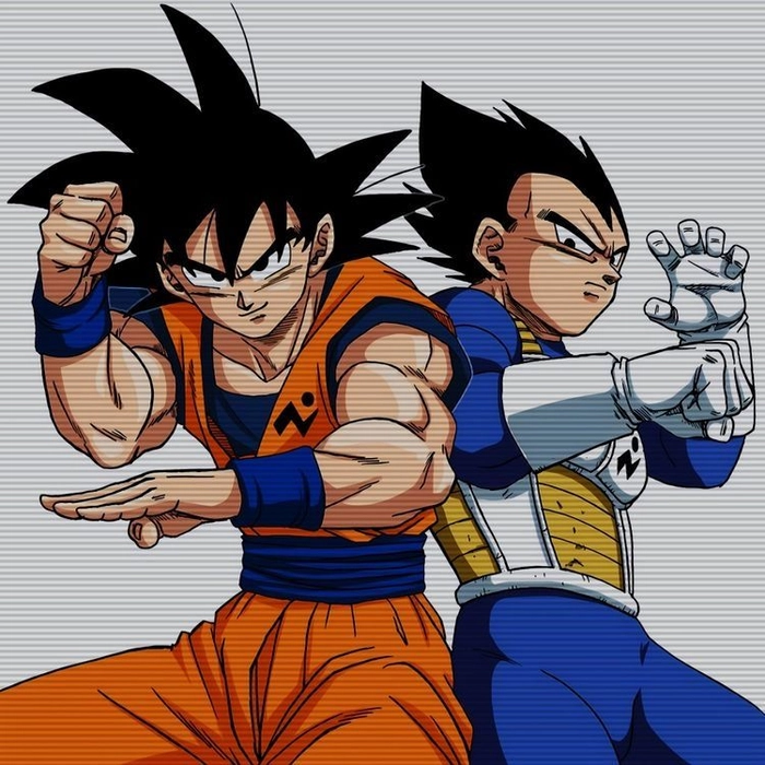 goku and vegeta pfp