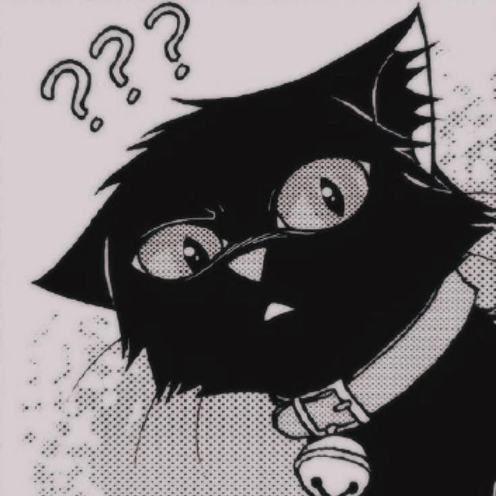 grunge black cat pfp