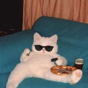 hilarious discord pfp