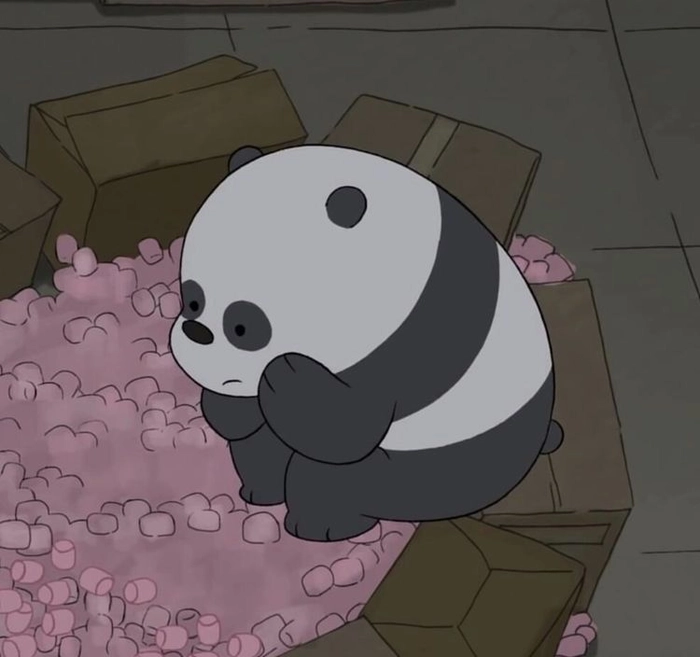 instagram panda dp