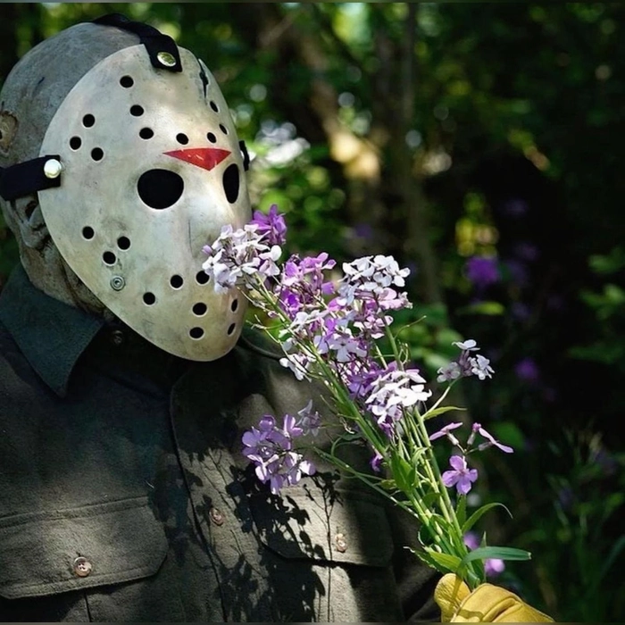 jason voorhees funny pfp