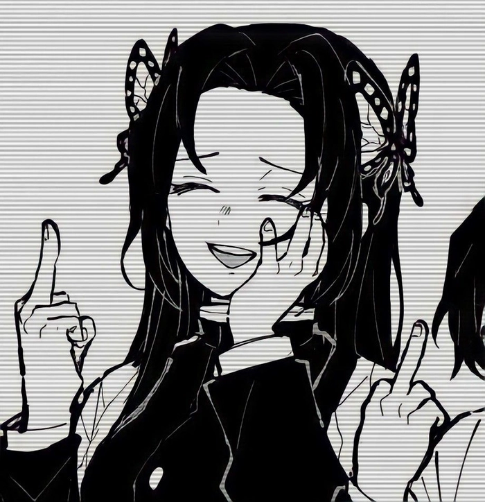 kanae and shinobu matching pfp kanae