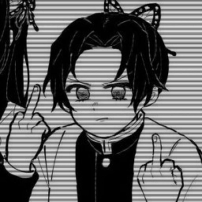 kanae and shinobu matching pfp shinobu