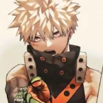 katsuki bakugou pfp