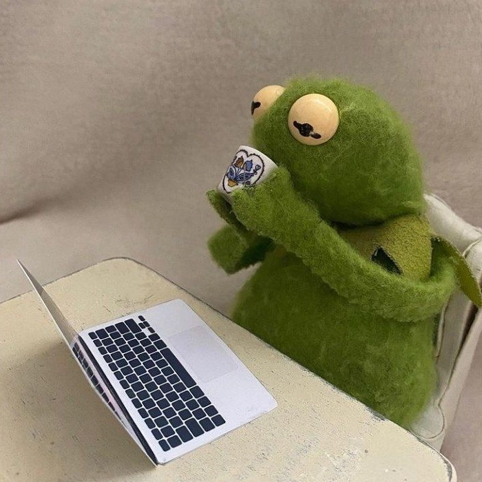 kermit frog pfp aesthetic