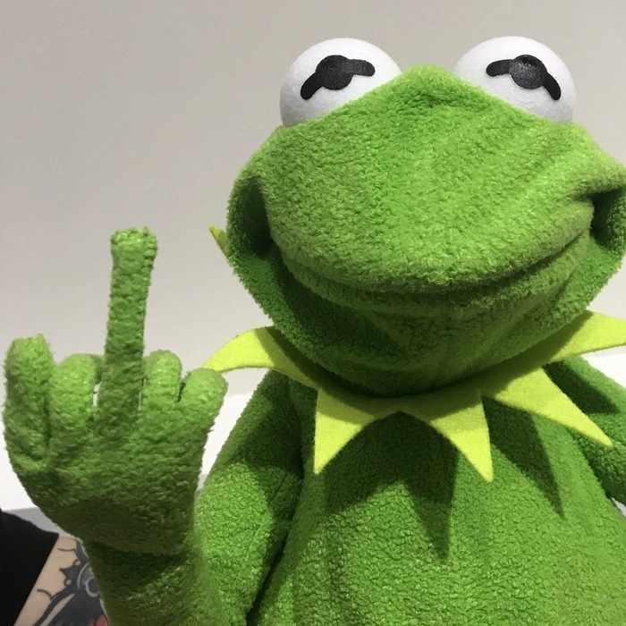 kermit frog profile pic