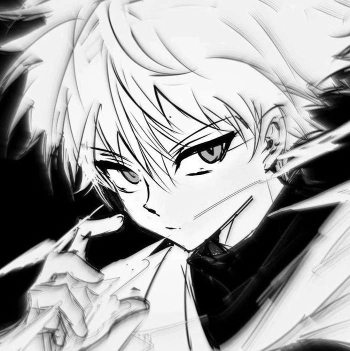 killua black and white pfp