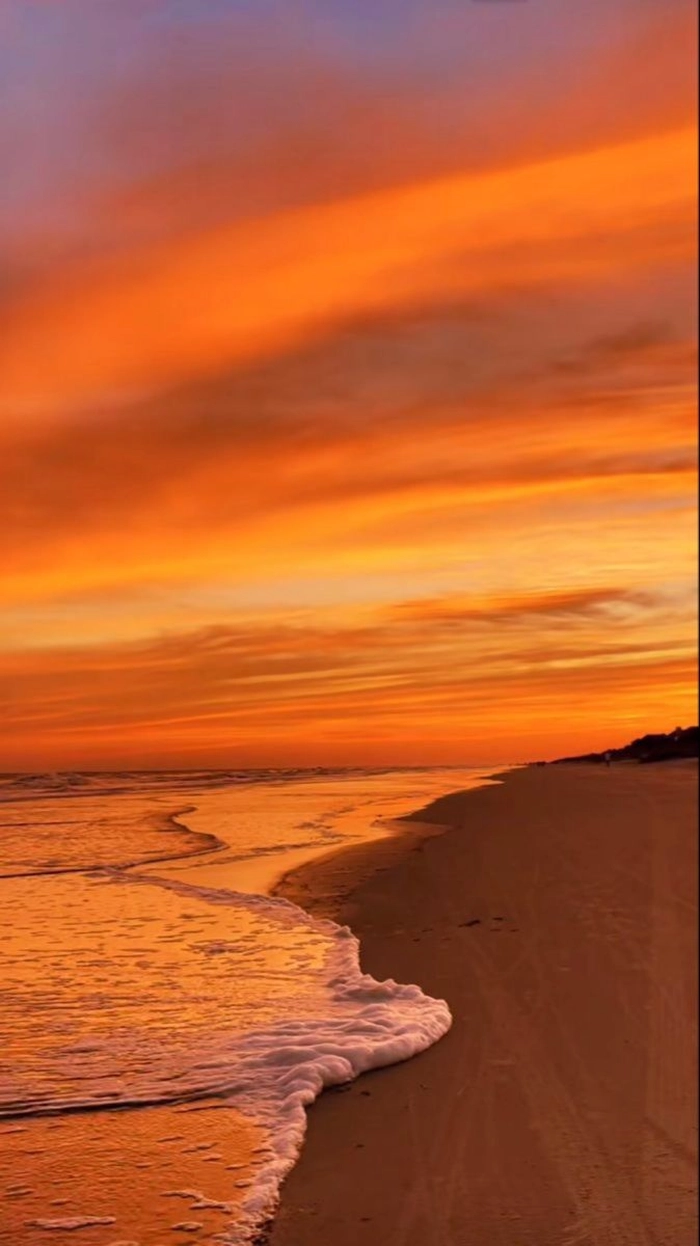 light orange images