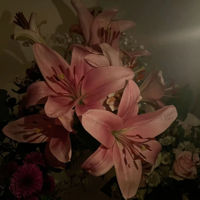 lily flower pfp