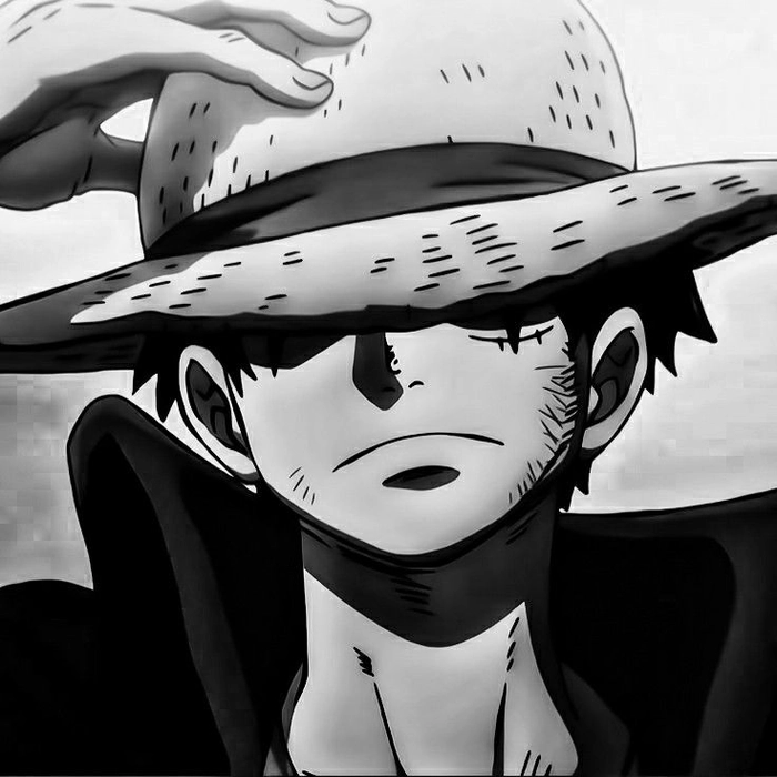 luffy black and white pfp