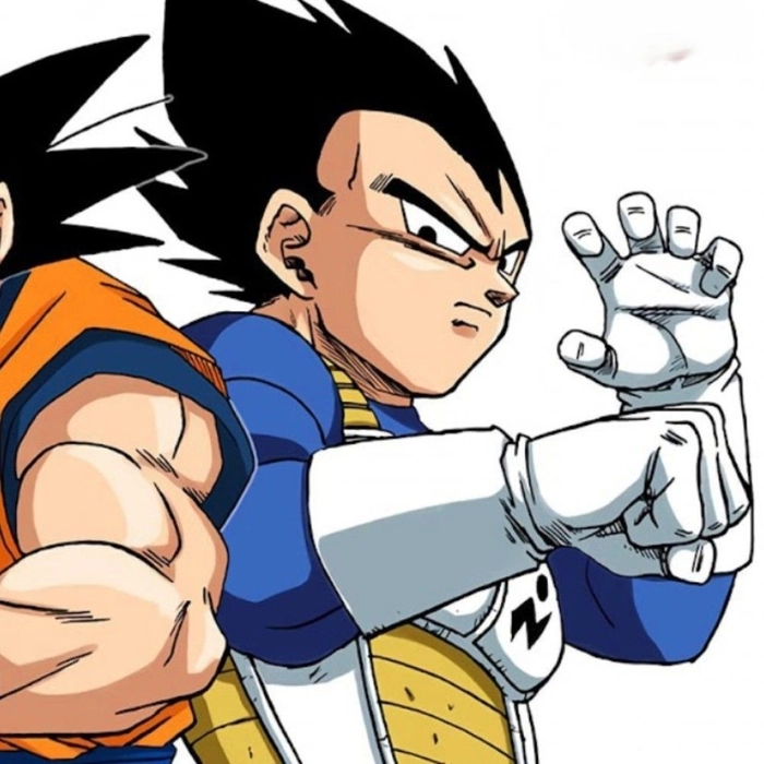 matching goku and vegeta pfp vegeta]