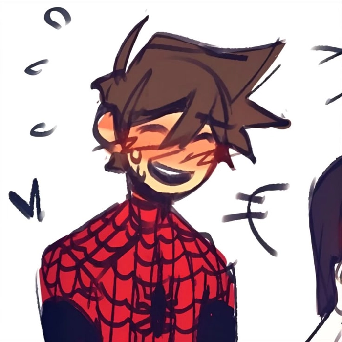 matching pfp pp couple spiderman boy