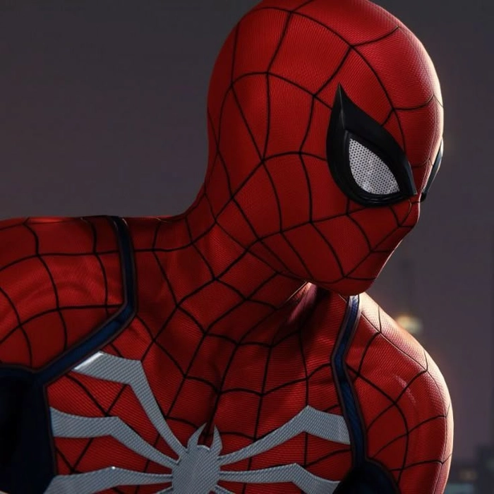 matching pfp spiderman