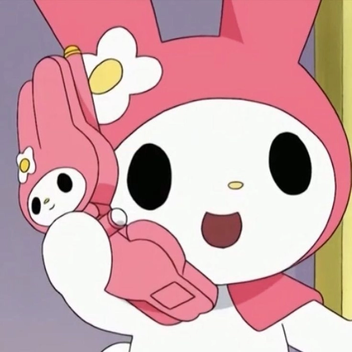 matching sanrio pfp
