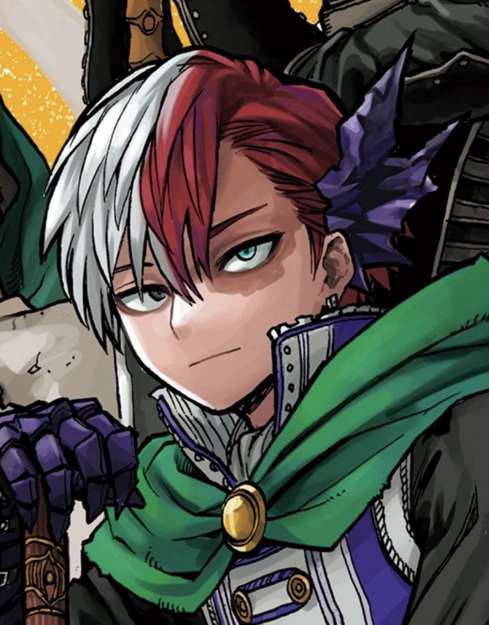 mha todoroki pfp