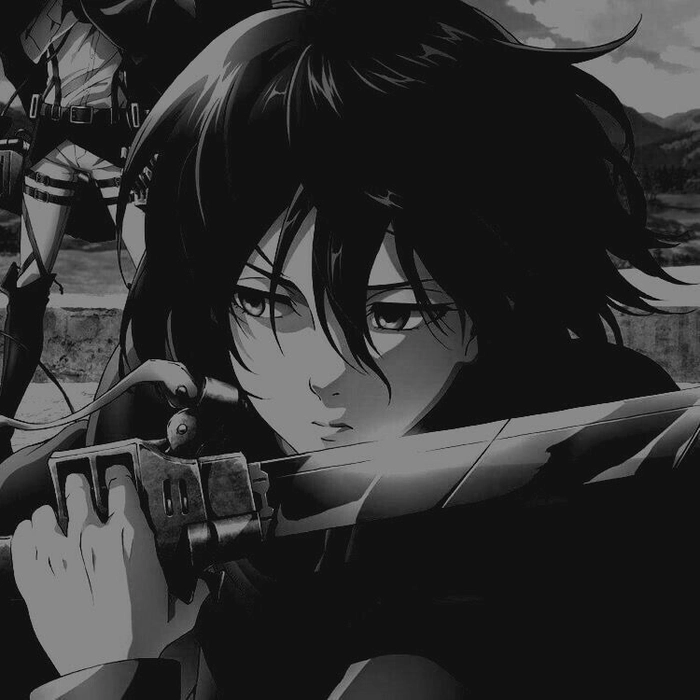 mikasa black and white pfp