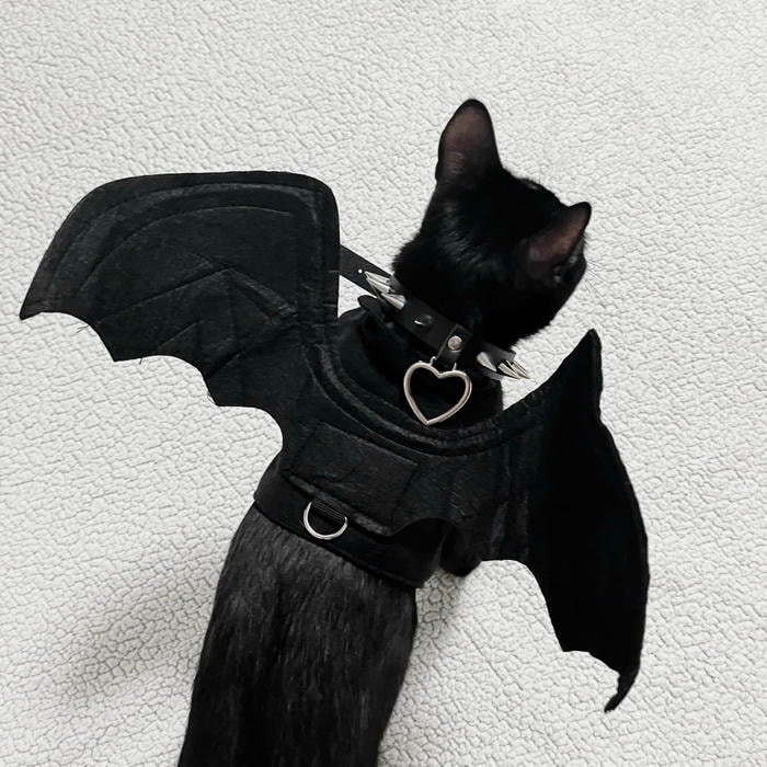 moody aesthetic black cat pfp high quality