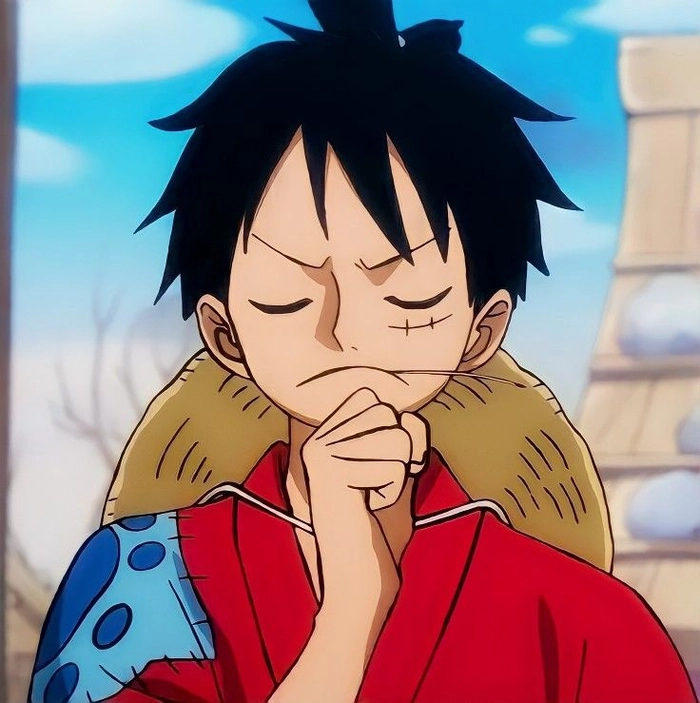 one piece luffy pfp