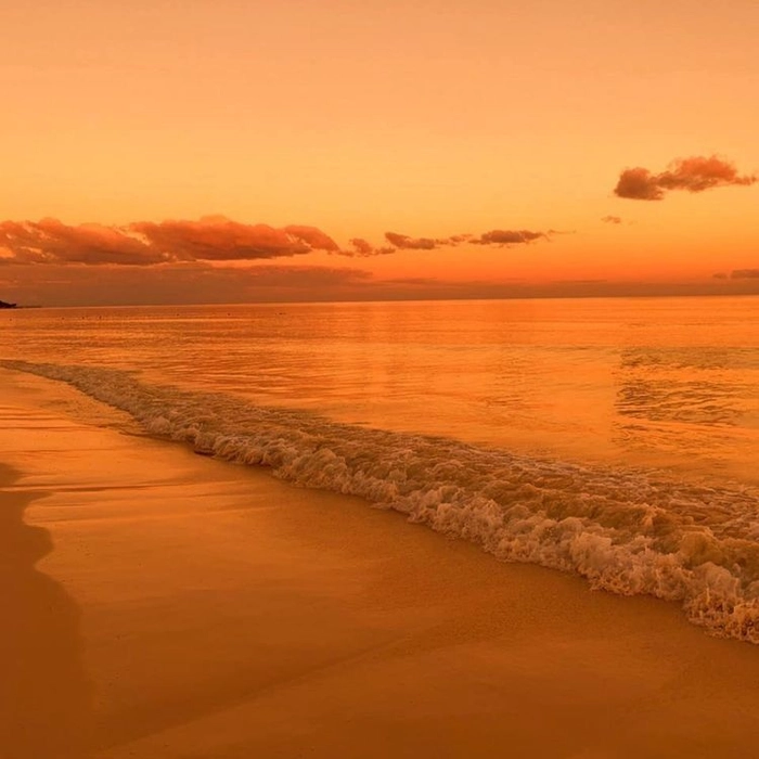 orange beach images