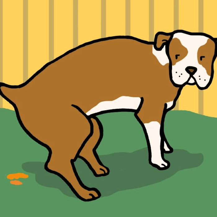 orange dog poop