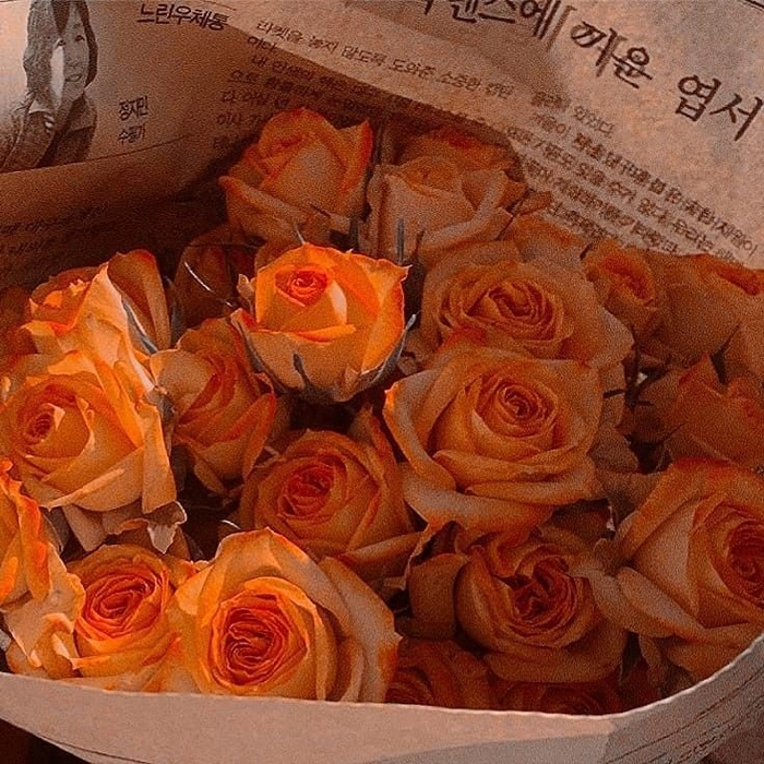 orange flowers images
