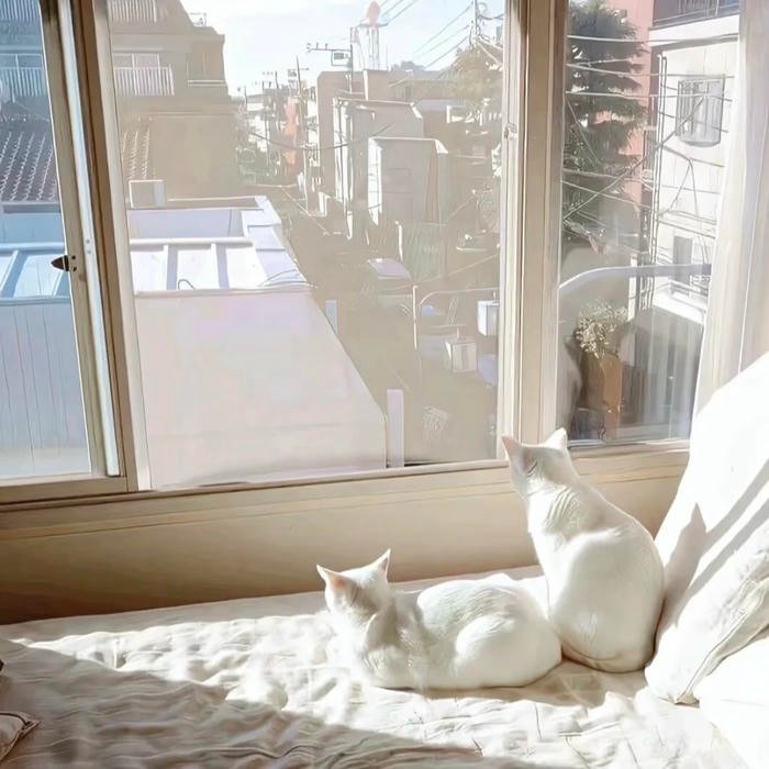 pastel white profile picture