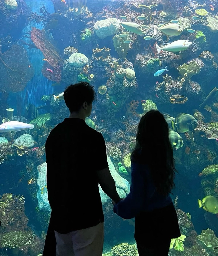 pfp aesthetic couple