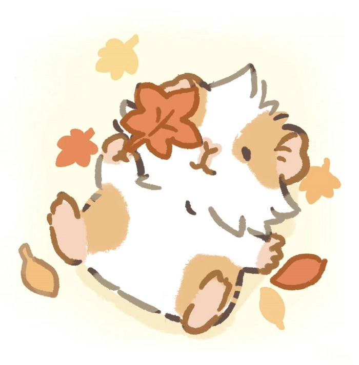pfp cute animals