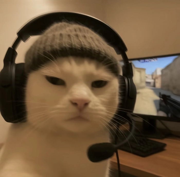 pfp for discord funny