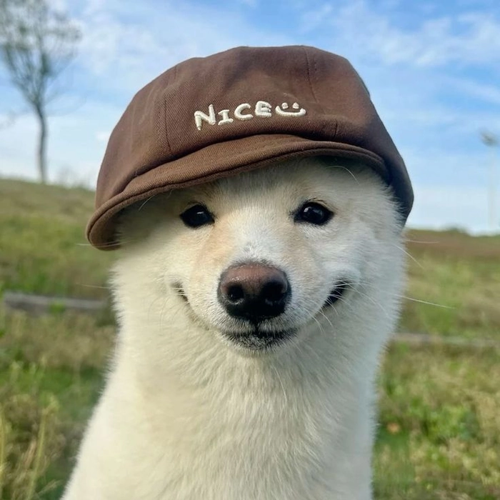 pfp for tiktok funny