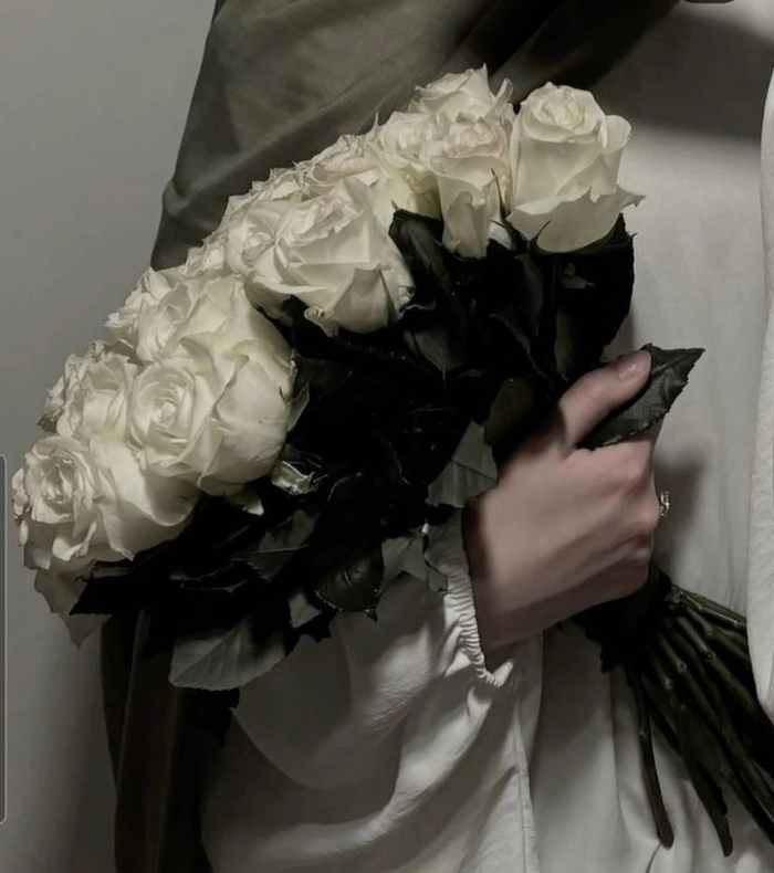 pfp rose