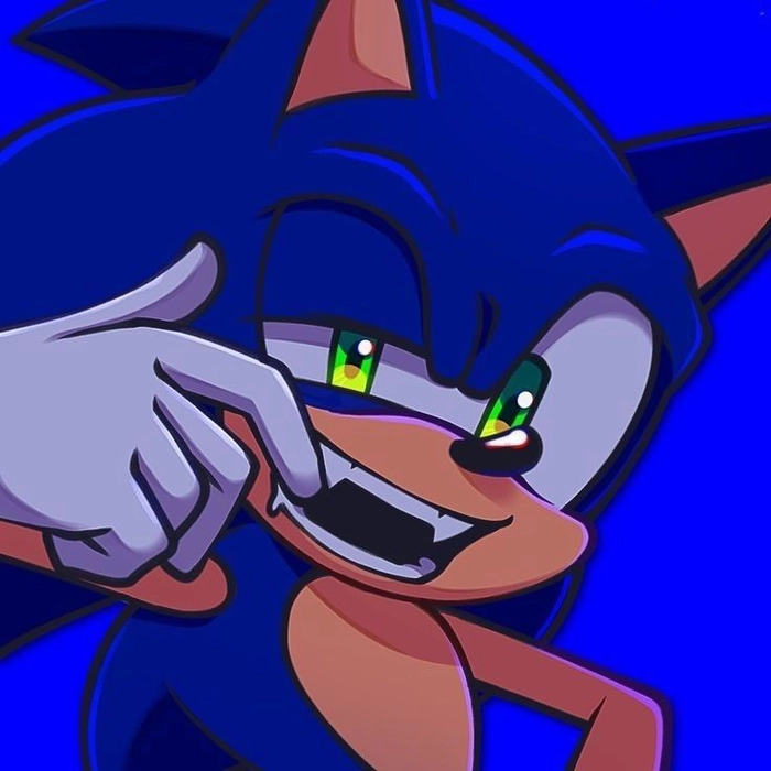 pfp sonic