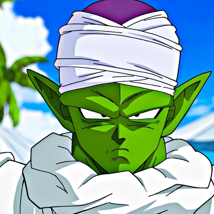 piccolo profile picture
