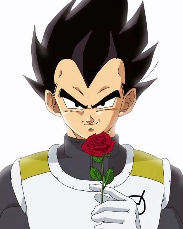 prince vegeta pfp